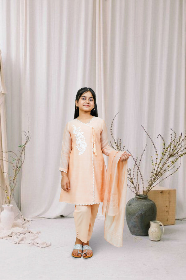3-Piece Set Peach Embroidered Sheep