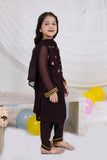 Brown Embroidered Chiffon