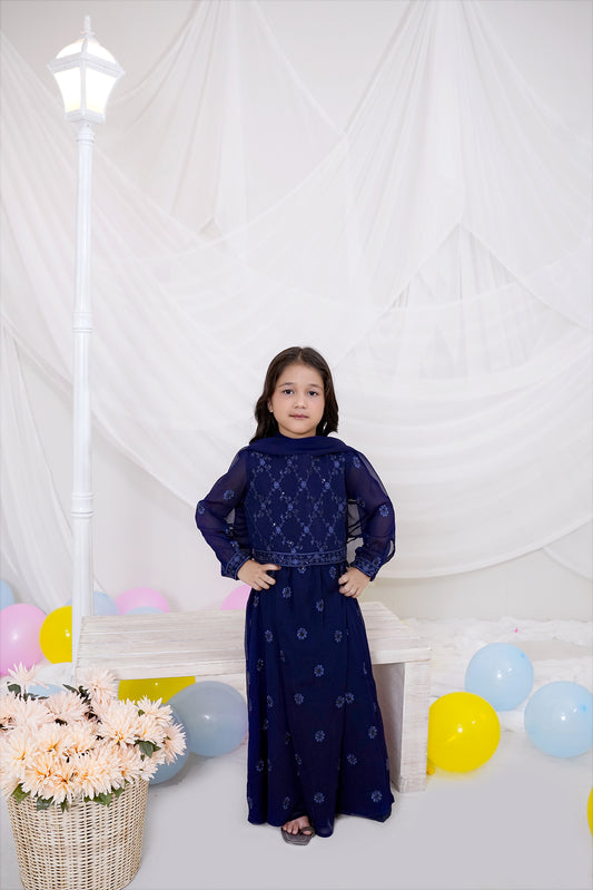 Navy Blue Embroidered Chiffon