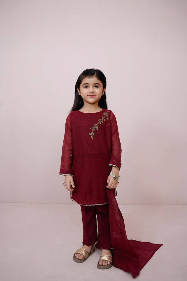 Maroon Embroidered Chiffon