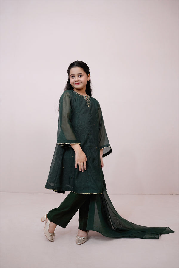 Kai Greeen Embroidered Khadi net