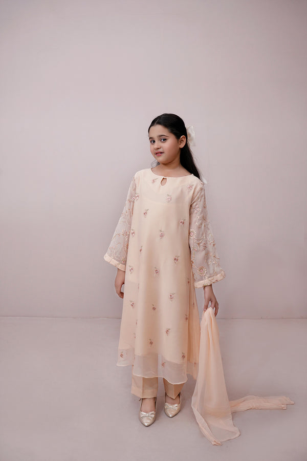 Pwd Pink Embroidered Chiffon