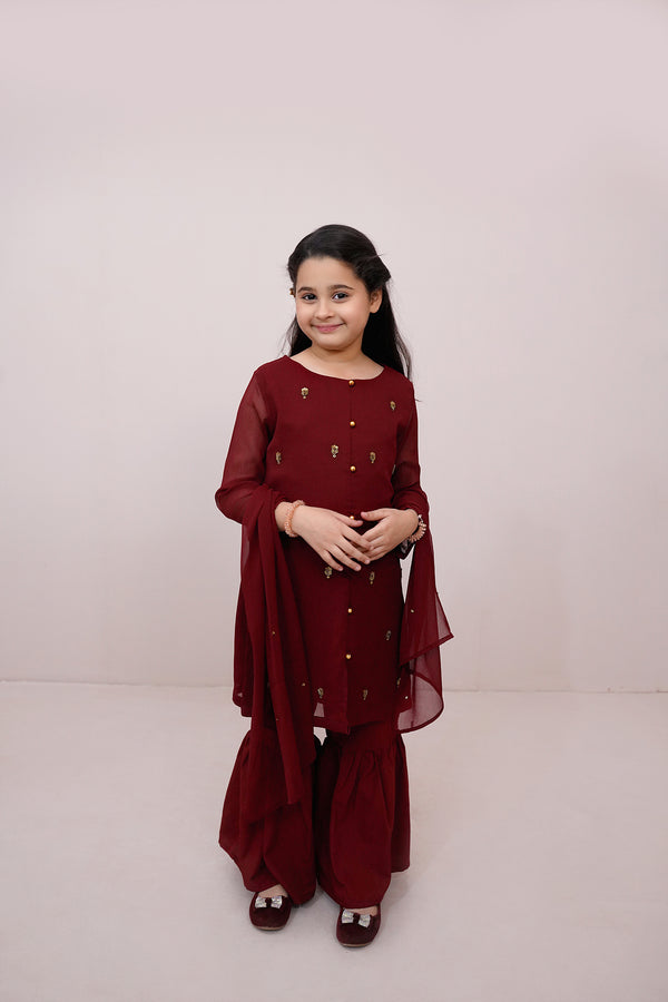 Maroon Embroidered Chiffon