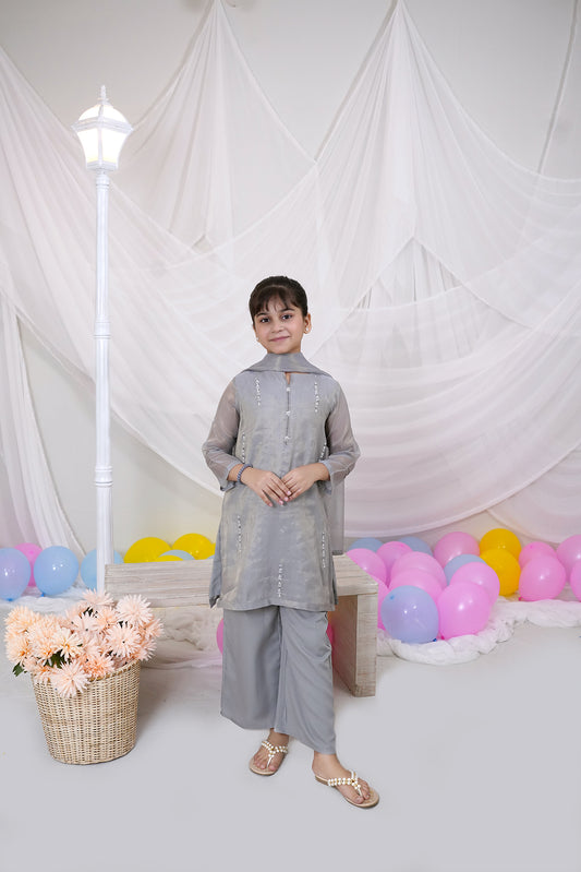 Grey Embroidered Chiffon