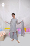 Grey Embroidered Chiffon