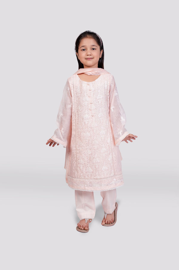 Powder Pink Elegance - Cotton Net Embroidered Ensemble 3-piece stitched