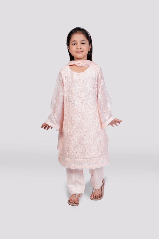 Powder Pink Elegance - Cotton Net Embroidered Ensemble 3-piece stitched