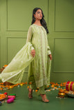 Enchanting Elegance - Dhani Green Embroidered Cape Set