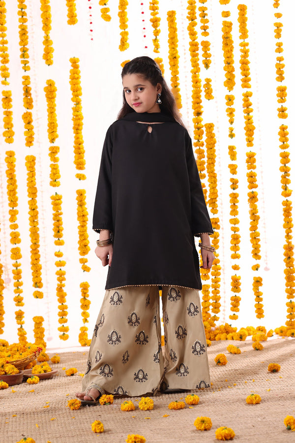 Sheep Clothing | Exclusive Designer Wear | Eastern Handwork