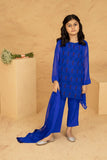 Willow Embroidered shirt with pants& dupatta